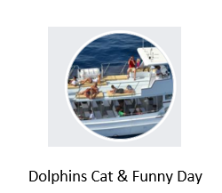 La imagen tiene un atributo ALT vacío; su nombre de archivo es dolphinCat.png