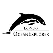 La imagen tiene un atributo ALT vacío; su nombre de archivo es ocean-explorer.png